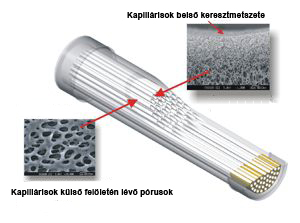 Kapilláris ultraszűrő keresztmetszete